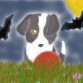 Dibujo de uun cachorro de Border Collie hecho por mi, y pintado tambien por mi en el Photoshop :D